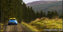 Pirelli Rally